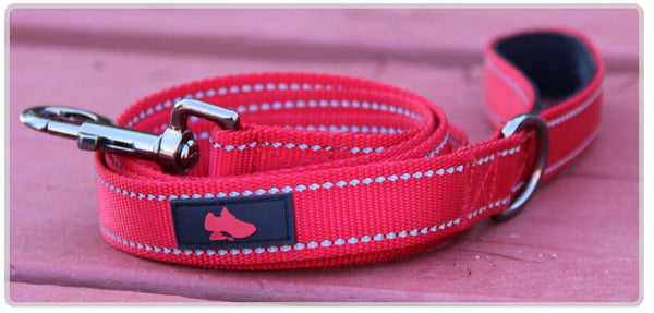 Z-CoiL® Dog Leash | Pain Relief Footwear – Z-CoiL Pain